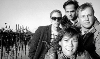 Pixies taldea