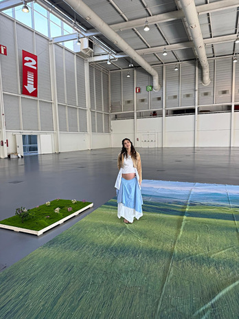 Izaro, Ficobako eraikinaren barnean.